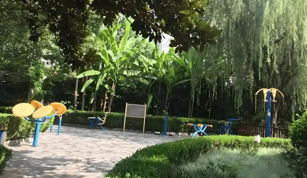 深户办理流程与步骤_2025上海城市形象片焕新发布：上海新一刻，城市因你更美好 海城市形象百岁在女宴上儿的