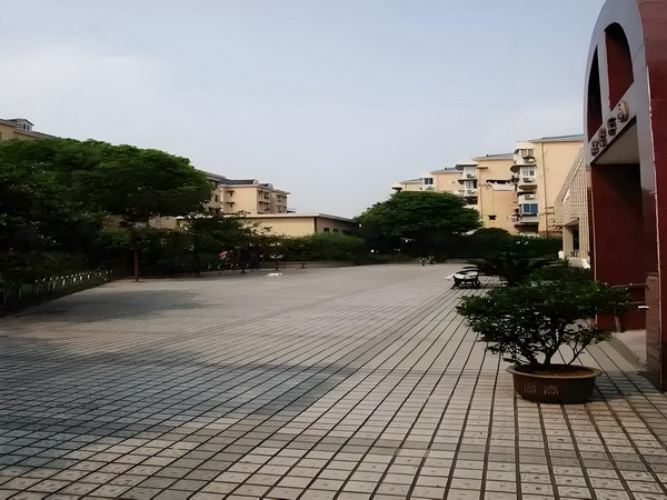落户深圳需要多少钱_佟丽娅儿子正脸曝光，五官气质超像爸爸 的主作为量要力经济市场